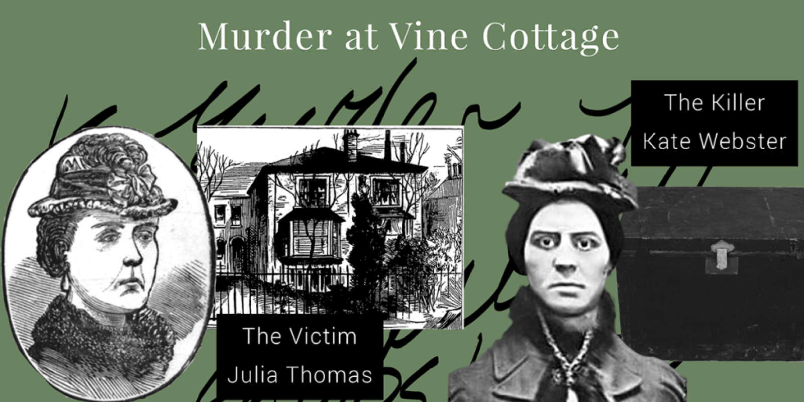 Murder at Vine Cottage
